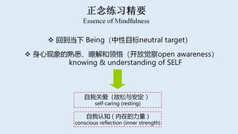 想让 Amazon 的 Monstress 改编潜力充分释放？处理得当是关键！