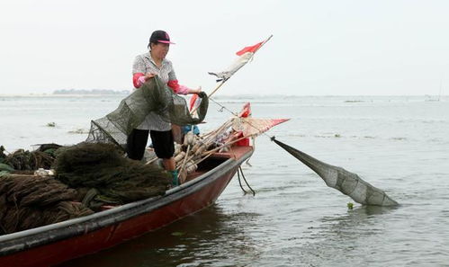 揭秘鄱阳湖地笼阵，官方雷霆出击，非法捕捞为何屡禁不止？