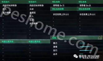 实况2014怎么装补丁不闪退？大师联赛妖人推荐与卡顿修复