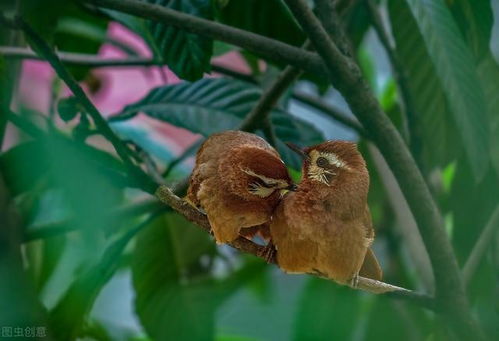 拒绝坐牢！动作肉鸽游戏从入门到精通的实战避坑指南