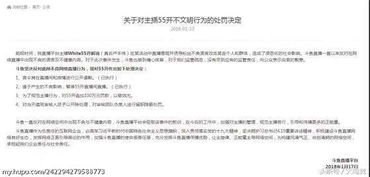 直播圈抽象文化解析，五五开粉丝骂人背后的心理与应对策略