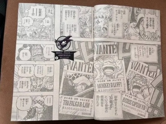 别再瞎等了！海贼王漫画动画更新规律揭秘，附休刊排期表