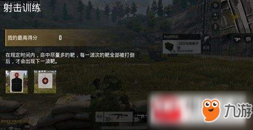 监狱风云Oz类型深度解析,新手生存法则与进阶实战攻略 监狱风云Oz类型深度解析,新手生存法则与进阶实战攻略