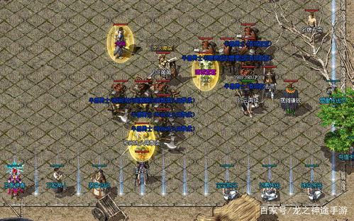 2026年传奇外传SF哪里人多？独家揭秘高爆单职业攻略