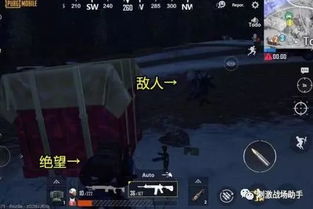 致命躯壳最强开局？深度解析硬度机制与躯壳选择攻略