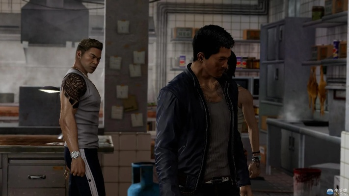 热血无赖游民星空汉化版下载与2026年终极优化指南