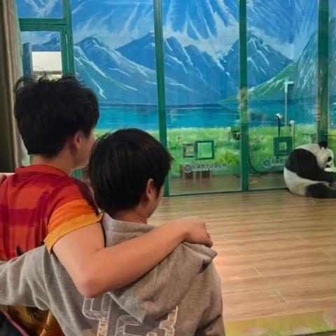 全红婵三跳满分背后的秘密，14岁天才如何征服10米台？