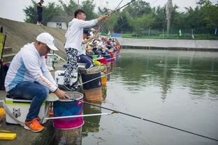 2026年钓鱼大赛怎么拿冠军？竞技垂钓实战全攻略