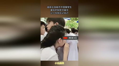 揭秘学生时代相互暗恋图鉴，这5种双向奔赴的顶级暧昧信号