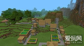 我的世界村庄类型大盘点,哪类村庄交易最赚且生存资源最丰富? 我的世界村庄类型大盘点,哪类村庄交易最赚且生存资源最丰富?