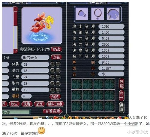 梦幻红楼怎么搬砖？揭秘合宠暴利门道与2026最新玩法