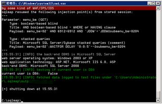 美国国际女魅灵代码类型全解，2026最新稀有代码获取与实战