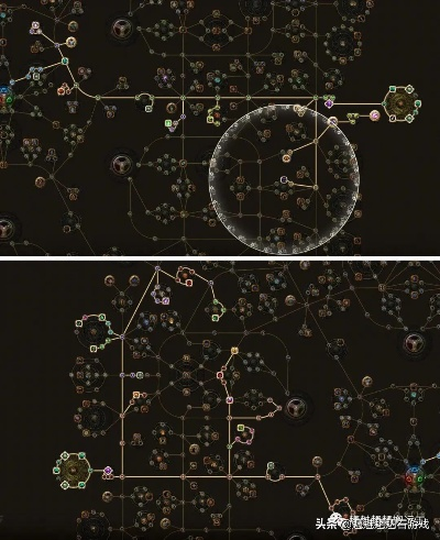 猩红蜘蛛天赋怎么选？流放之路毒师BD深度实战解析