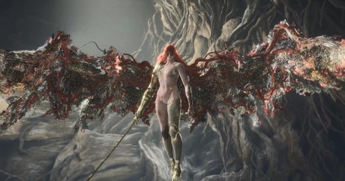 哈拉希腹地怎么进？圣树秘密获取与女武神玛莲妮亚无伤打法