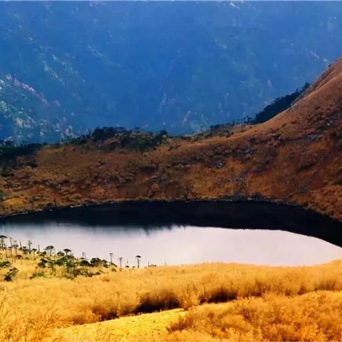 天神祭品怎么用？2026年最新兑换优先级与避坑指南