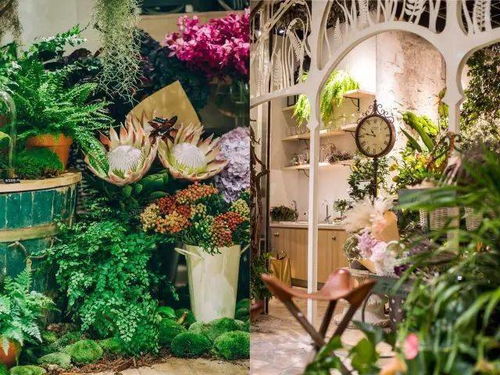 花店物语怎么快速赚钱？揭秘2026年最强暴利回本攻略