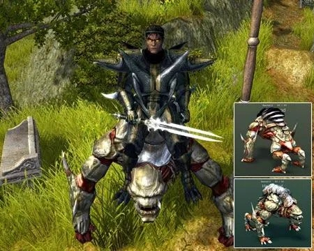 圣域2堕落天使怎么玩？黑暗圣堂武士BD与隐藏机制详解