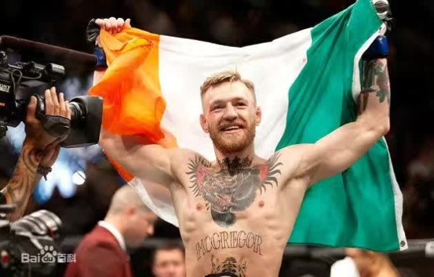 UFC 5嘴炮麦格雷戈怎么玩?左直拳连招与实战防摔全解析 UFC 5嘴炮麦格雷戈怎么玩?左直拳连招与实战防摔全解析