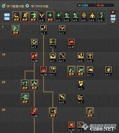 2026DNF忍者二觉刷图加点全流派，爆发流与续航流终极抉择