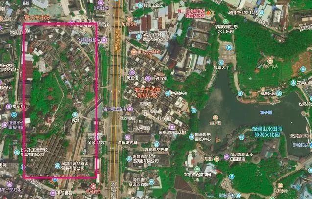 君子堂内应类型怎么选？揭秘鲜为人知的内应实战技巧