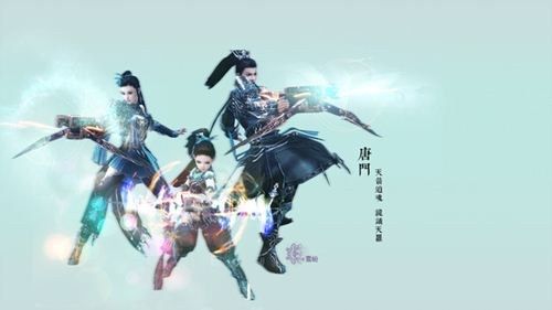 剑网三唐门怎么玩？2026最新惊羽洗经循环宏与配装详解