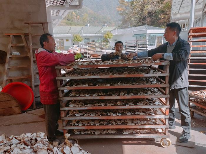 魔力宝贝怀旧服平民致富经，开局抓宠与高效练级路线全解