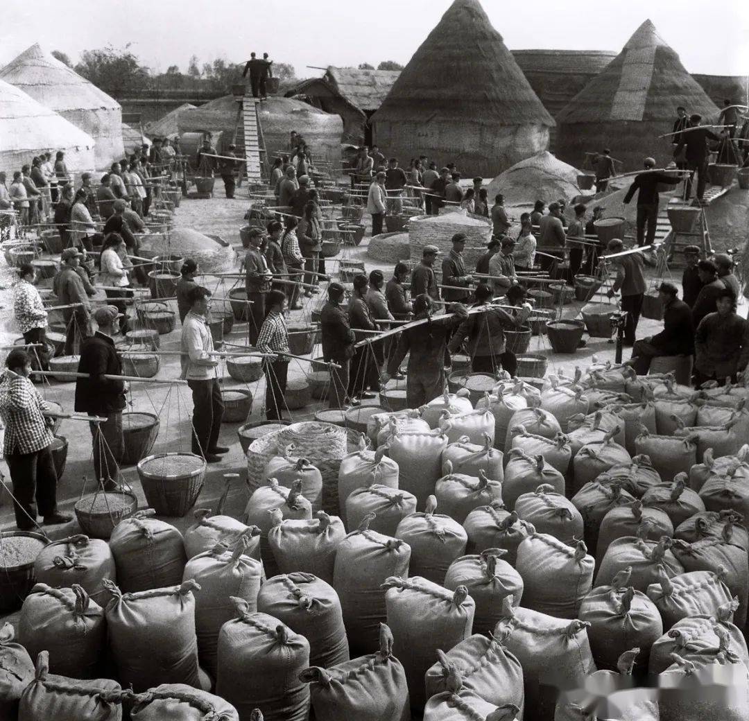 桃园生活技能怎么选？2026年最暴利搬砖攻略大揭秘