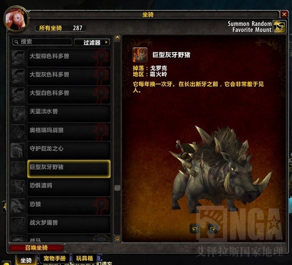 魔兽黑市捡漏实录，绝版坐骑与稀有配方竞价全攻略