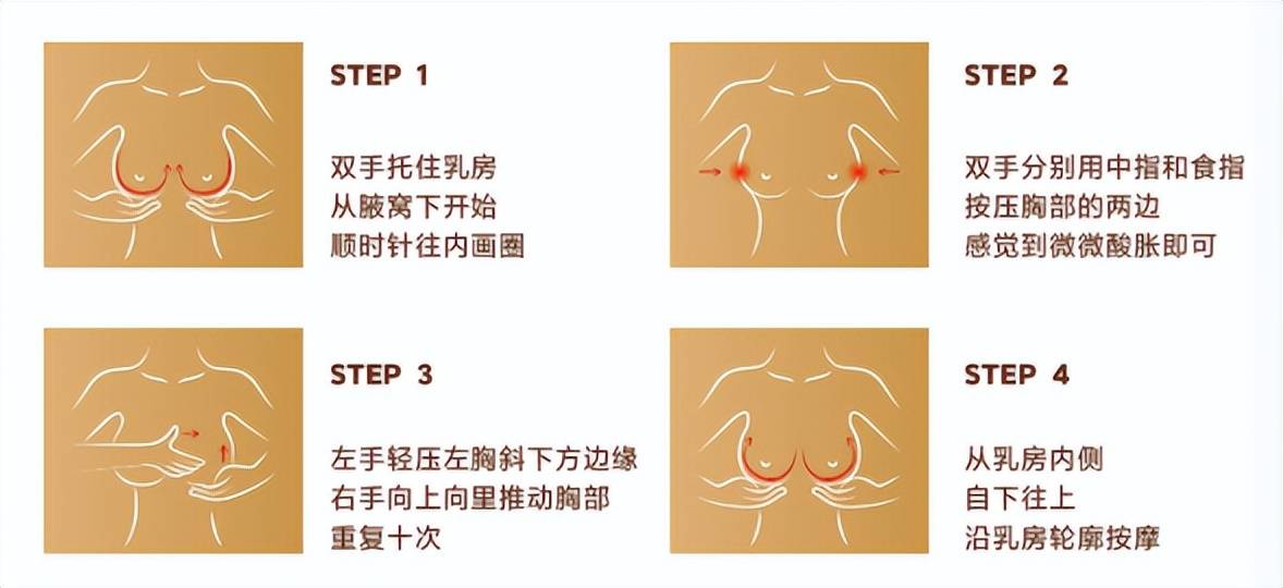 2026年最新养胸全攻略，解锁角色隐藏体型与魅力加成秘籍