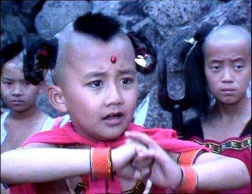 红孩儿赵欣培为何隐退？中科院博士身份背后的硬核科研路